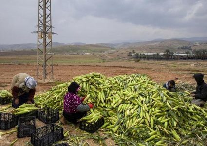 قرار بنيت حرب تجارية اسرائيلية على الاقتصاد الفلسطيني