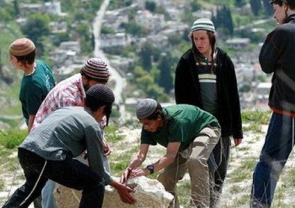 عشرات المستوطنين يقتحمون منطقة "ترسلة" جنوب جنين