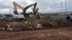 تجريف 370 دونما غرب سلفيت