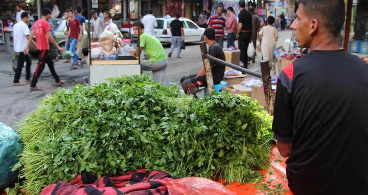 الاحصاء: انخفاض طفيف على مؤشر غلاء المعيشة الشهر المنصرم