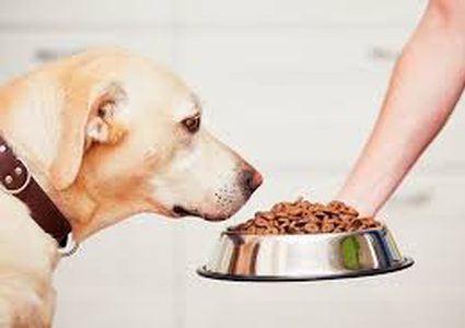 رجل يتناول طعام الكلاب لمدة 30 يوما