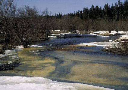 خطورة الربيع المبكر على البشر
