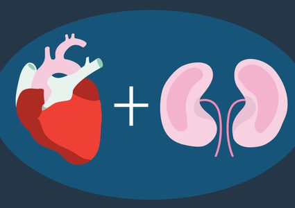 ما هو تأثير صحة القلب على الكلى ؟