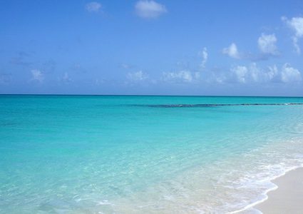 العثور على مخلوق غامض على شاطئ مكسيكي