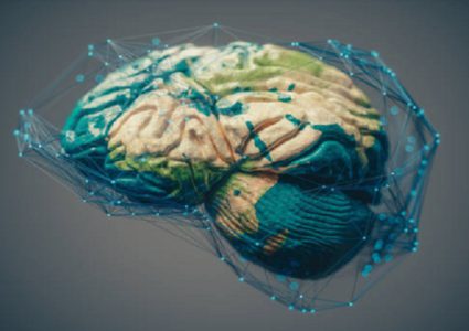 بنية دماغية غير عادية تدفع البالغين إلى الكذب والسرقة والعنف