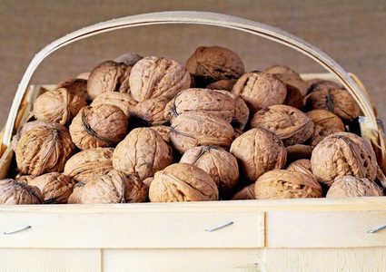 تناول الجوز بانتظام يساعد في مكافحة سرطان الثدي