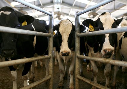 إسرائيل: السلطة الفلسطينية أزالت القيود المفروضة