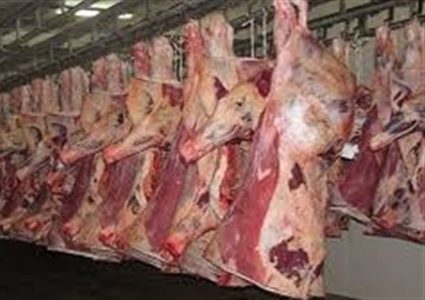 الاقتصاد: فتح باب تقديم طلبات استيراد اللحوم المجمدة