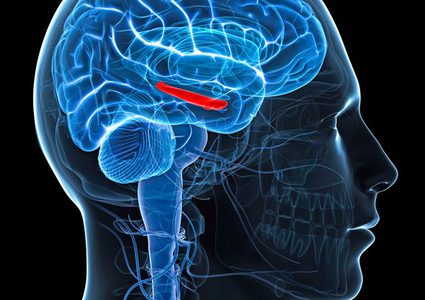 مكملات غذائية لحماية الدماغ