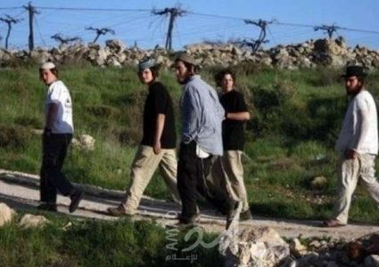 مستوطنون يسيجون مساحات من المراعي في الأغوار الشمالية