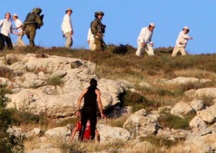 مستوطنون يواصلون تسييج المراعي في الأغوار الشمالية