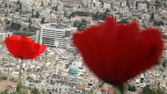 صور العراقة والمباني التراثية.. تاريخ تكتبه الصور للبلدة القديمة من نابلس