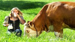 اكتشاف مادة في حليب ولحم البقر تسبب سرطان القولون