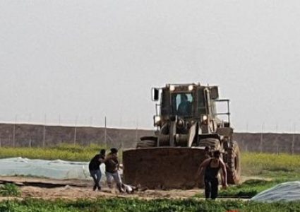 سـرايـا القـدس تنعى الشهـيـد محمد علي الناعم 27 عاماً