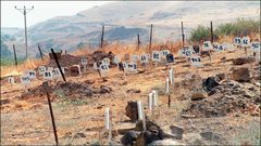 مقابر الأرقام...إنتهاك للإنسانية وانتقام من الشهداء وذويهم