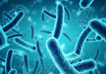 تحذير: بكتيريا الأمعاء يمكن أن تنذر الإصابة بمرض خطير