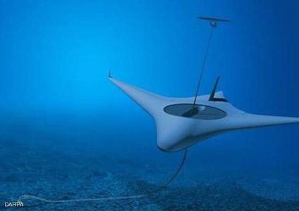 الجيش الأمريكي يسعى لتطوير سلاح "أسماك شياطين البحر"