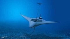 الجيش الأمريكي يسعى لتطوير سلاح "أسماك شياطين البحر"