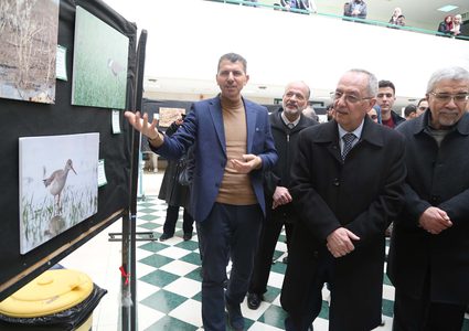 افتاح معرض صور الحياة البرية والطيور في جامعة النجاح