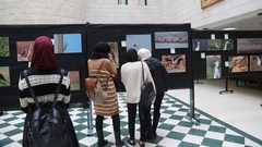 افتاح معرض صور الحياة البرية والطيور في جامعة النجاح