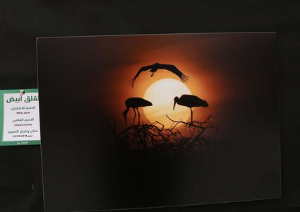 افتاح معرض صور الحياة البرية والطيور في جامعة النجاح