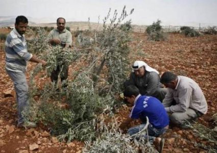 مستوطنون يقتحمون المسجد الأقصى