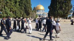 عشرات المستوطنين يقتحمون ساحات المسجد الأقصى