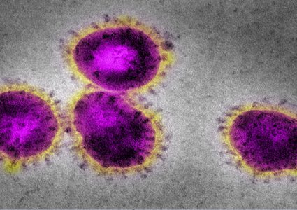 كيف يهاجم كورونا جسم الإنسان حتى الموت؟