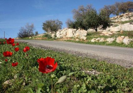 حالة الطقس الخميس: أجواء ربيعية وارتفاع على درجات الحرارة