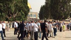 مستوطنون يقتحمون المسجد الأقصى