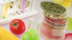 مأكولاتك المفضلة مسجلة في شيفرتك الوراثية