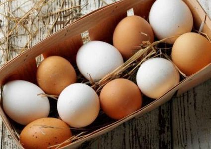 لماذا ينصح المزارعين بنبذ البيض البني ؟