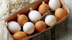 لماذا ينصح المزارعين بنبذ البيض البني ؟