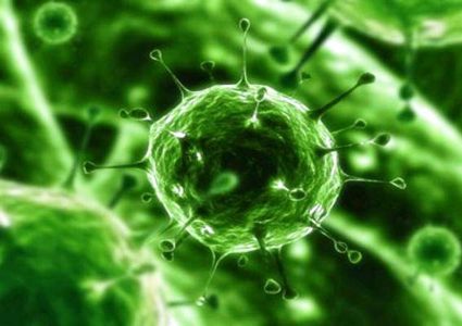 تعرفوا على مفتاح النجاة من عدوى فيروس كورونا