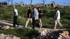 مستوطنون يقطعون أشجار كرمة في بلدة الخضر