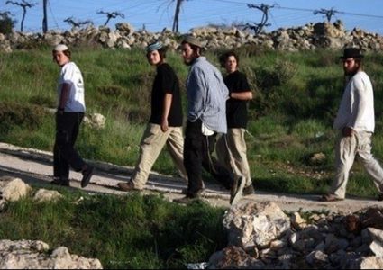 مستوطنون يقطعون أشجار كرمة في بلدة الخضر