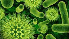 طرق مواجهة العوارض النفسية للإصابة بفيروس كورونا