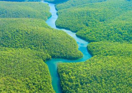 غابة الأمازون اقتربت من نقطة اللاعودة بسبب التغير المناخي