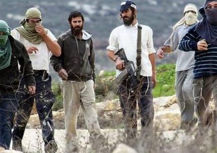 مستوطنون يعتدون على ممتلكات المواطنين جنوب نابلس