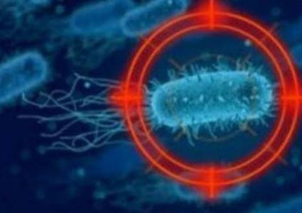 باحثون يكشفون قدرة كورونا على تدمير الخلايا البشرية