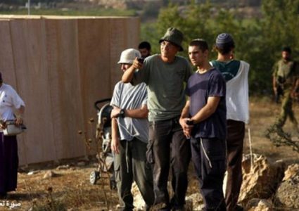 مستوطنون يقطعون اشجار الكرمة جنوب بيت لحم