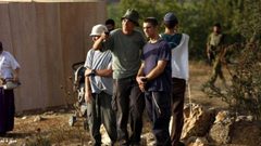 مستوطنون يقطعون اشجار الكرمة جنوب بيت لحم