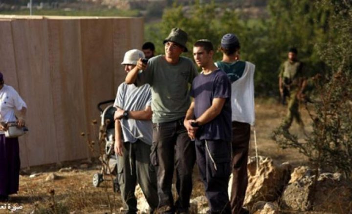 مستوطنون يقطعون اشجار الكرمة جنوب بيت لحم