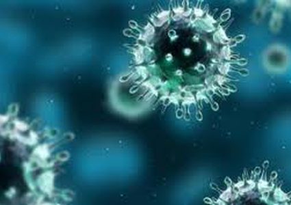 علماء: وباء كورونا يمكن أن يستمر حتى عام 2021