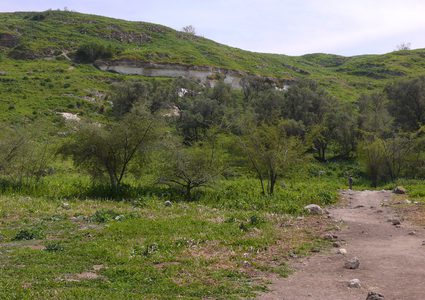 قرية تل.. بلد الخير في ظل أزمة كورونا