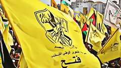 فتح تنفي ما يتم تداوله من فحص كشوفات للهيكل التنظيمي