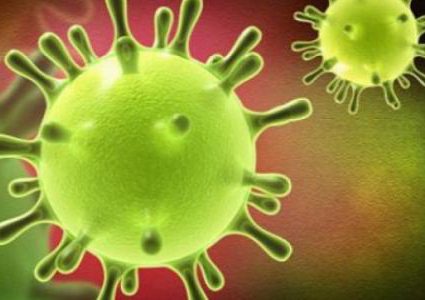 الصين تعلن وفاة أول كلب نتيجة الإصابة بفيروس كورونا