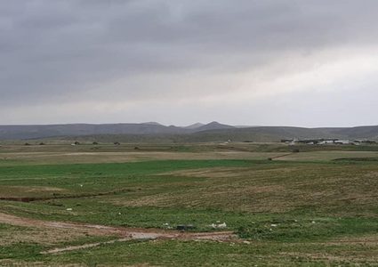 آليات الاحتلال تجرّف أراض في قرية تل عراد