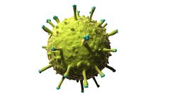 الدكتور الكوني يتحدث عن أصل الفيروسات وأسباب انتشارها