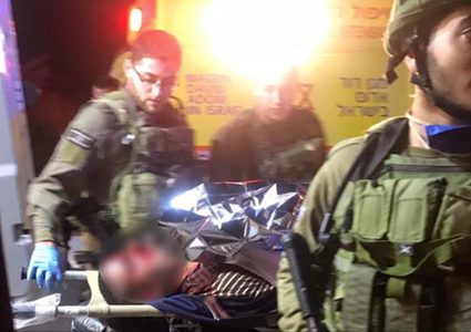 محيسن: قتل الاحتلال للشهيد الخواجا بدم بارد جريمة بشعة